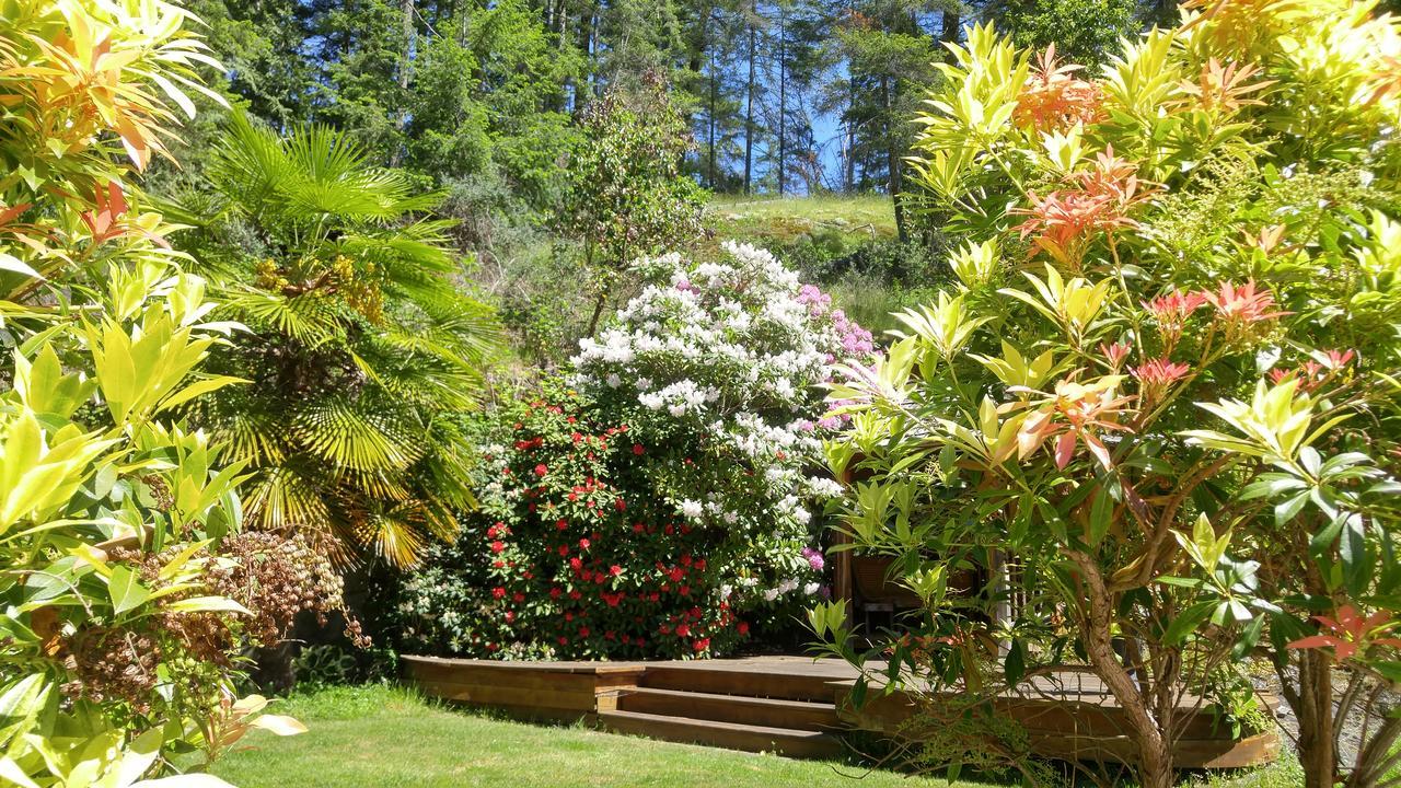 Sunshine Coast Treetop B&B Sechelt Exterior foto